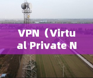 VPN（Virtual Private Network，VPN）作为一种重要的网络保护技术，其存在和发展离不开对用户信息安全的关注和反馈。以下是关于VPN反馈的一些要点