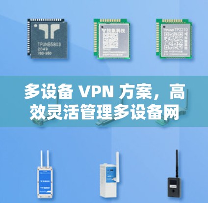 多设备 VPN 方案，高效灵活管理多设备网络